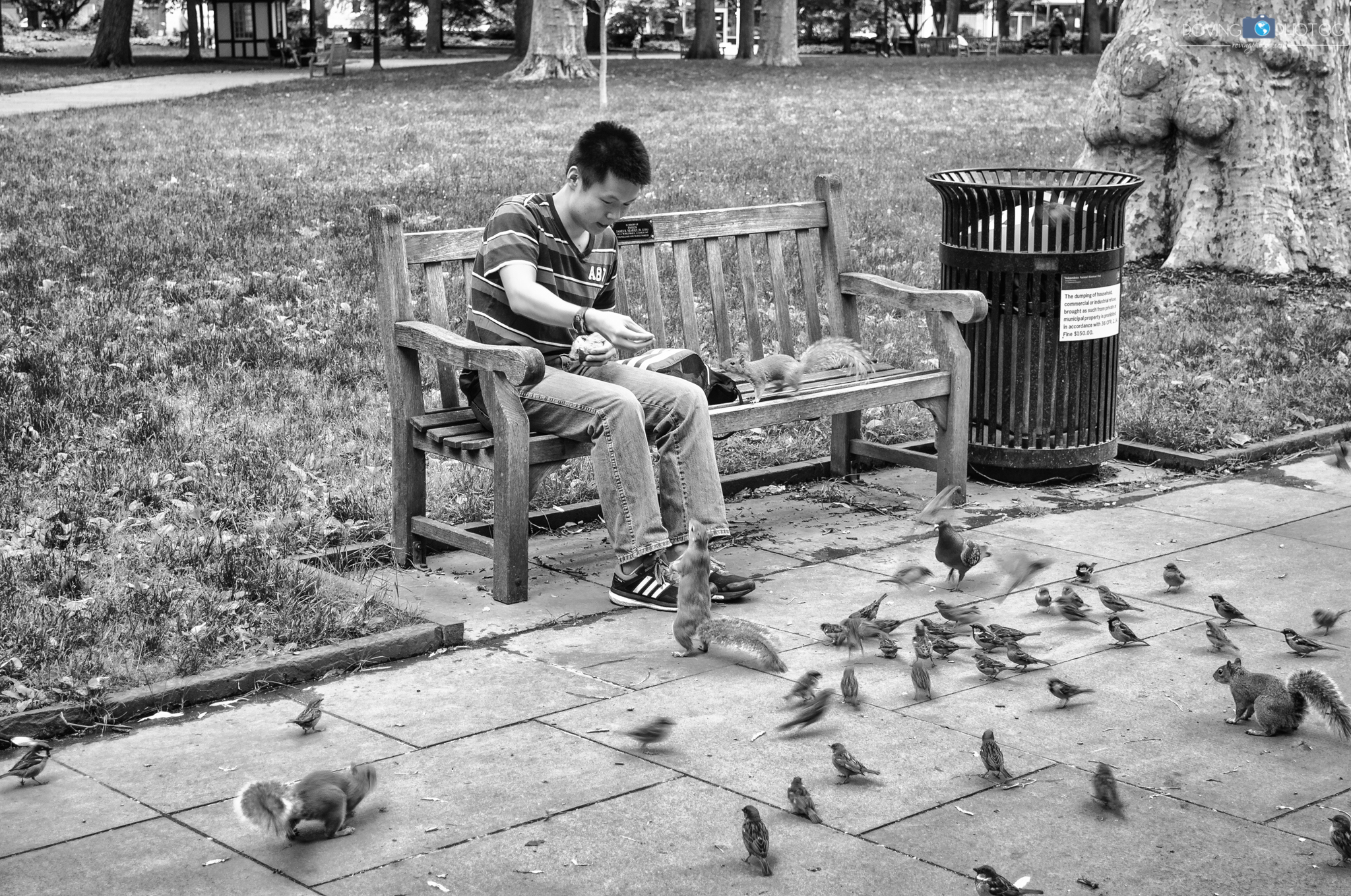 Street RovingPhotog